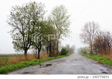 road on an unknown cloudy day dirt road path puddles after rain road on an unknown cloudy day dirt road path puddles after rain 140779655