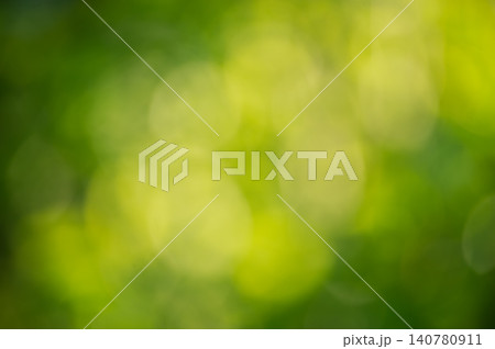 Defocused abstract natural background. Green defocused lights of plants. Defocused abstract natural background. Green defocused lights of plants. 140780911