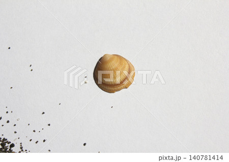 It is a clam shell. It is a clam shell. 140781414