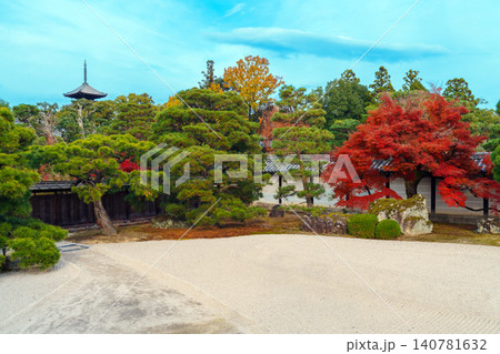 仁和寺御所庭園 仁和寺御所庭園 140781632