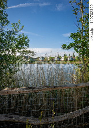 A modern housing development next to the Holmethorpe Lagoons in Mersham, Surrey, UK. Trees, reeds and fence in the foreground. Portrait orientation. A modern housing development next to the Holmethorpe Lagoons in Mersham, Surrey, UK. Trees, reeds and fence in the foreground. Portrait orientation. 140782390