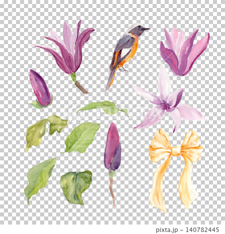 Magnolia flowers, buds, leaves, Daurian redstart bird, ribbon bow watercolor set. Hand painted collection isolated on white background for wedding stationery, invitations, branding, packaging, decor 140782445
