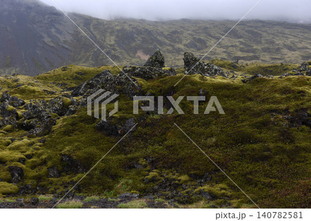 Moss-covered volcanic lava field in Iceland Moss-covered volcanic lava field in Iceland 140782581