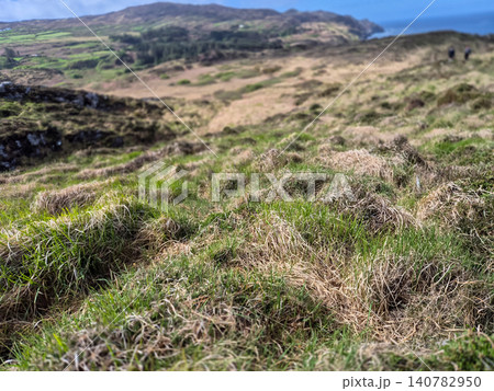 Grassy coastal hillside with distant mountain view Grassy coastal hillside with distant mountain view 140782950