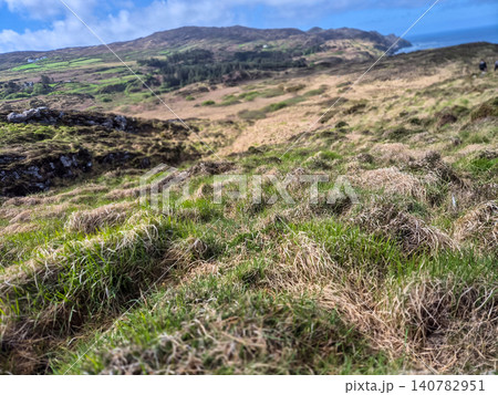 Grassy hillside overlooking coastal mountains Grassy hillside overlooking coastal mountains 140782951