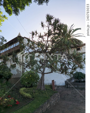 Tropical garden with old house and palm tree Tropical garden with old house and palm tree 140783033