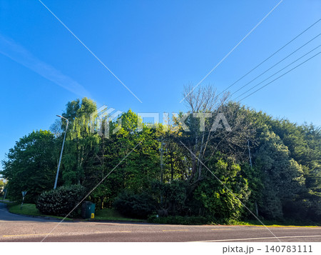 Quiet roadside with lush trees and clear blue sky 140783111