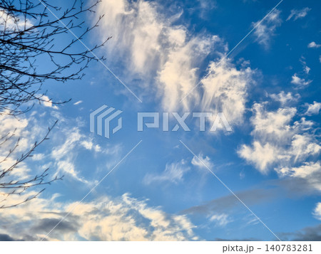 Blue Sky With Wispy Clouds and Bare Branches Blue Sky With Wispy Clouds and Bare Branches 140783281