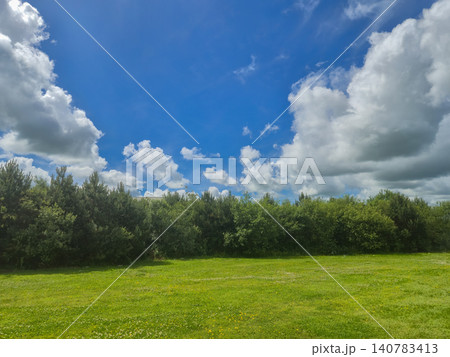 Bright summer meadow under dramatic cloudy sky Bright summer meadow under dramatic cloudy sky 140783413