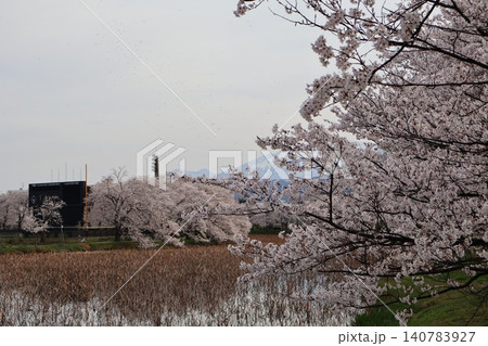 桜のある風景 桜のある風景 140783927