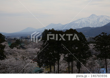 桜咲く金刀比羅宮の桜と磐梯山 桜咲く金刀比羅宮の桜と磐梯山 140783936