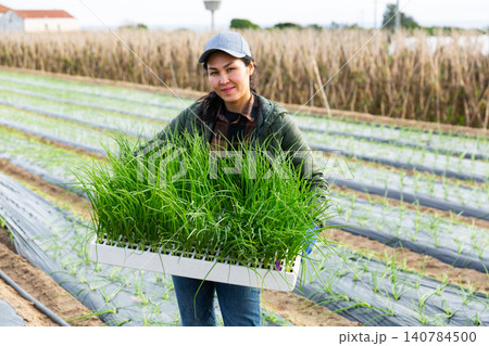 Asian woman holding box of green onions in the background of farm field under cover material 140784500