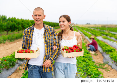 Young smiling couple gathering crop of strawberry on plantation 140784518