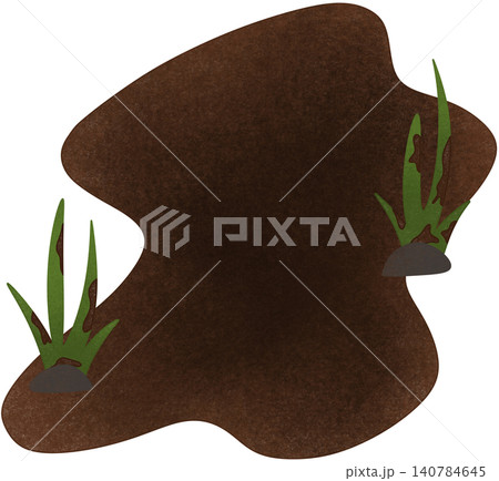 mud puddle with plant mud puddle with plant 140784645