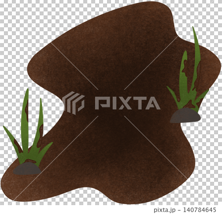 mud puddle with plant mud puddle with plant 140784645