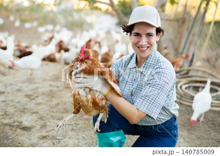 Hispanic female farmer inspecting laying hens on backyard of poultry farm Hispanic female farmer inspecting laying hens on backyard of poultry farm 140785009