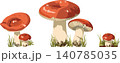 Forest mushroom cluster with morels vector asset 140785035