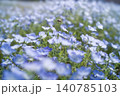ネモフィラ畑に着陸 140785103