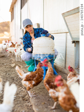focused european adult woman filling chicken drinker in chicken farm focused european adult woman filling chicken drinker in chicken farm 140785194