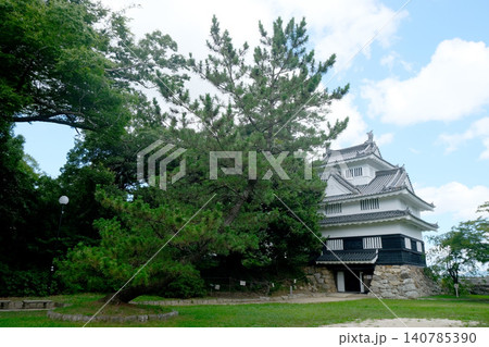 愛知県豊橋市_吉田城17_2025年7月 愛知県豊橋市_吉田城17_2025年7月 140785390