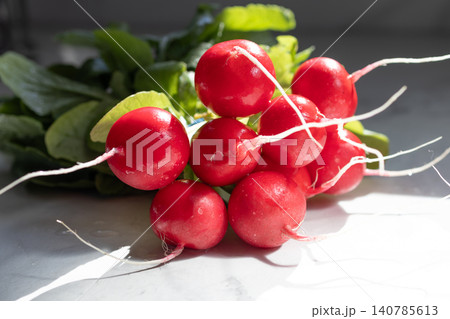 Fresh red radish bunch with green leaves on marble surface. Organic vegetables Fresh red radish bunch with green leaves on marble surface. Organic vegetables 140785613