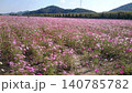 コスモス畑と山の見える風景 140785782