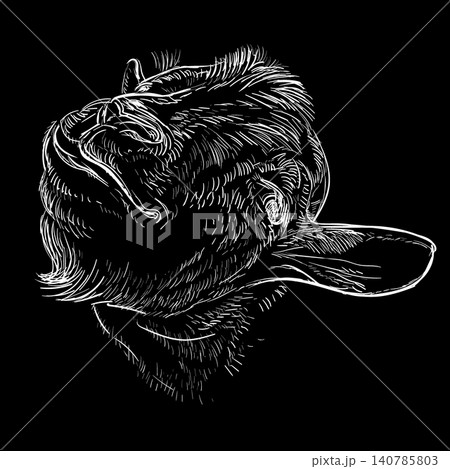 Funny goat head hand drawing on a black vector illustration 140785803