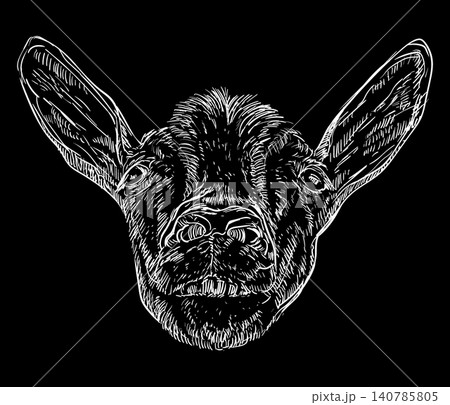 Hand drawing funny goat head with a teeth on a black vector illustration Hand drawing funny goat head with a teeth on a black vector illustration 140785805