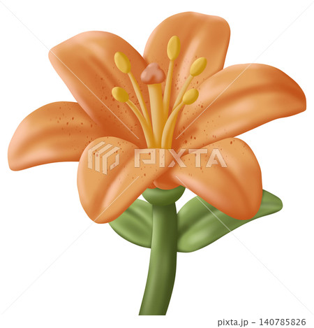 orange lily flower orange lily flower 140785826