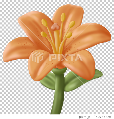 orange lily flower 140785826