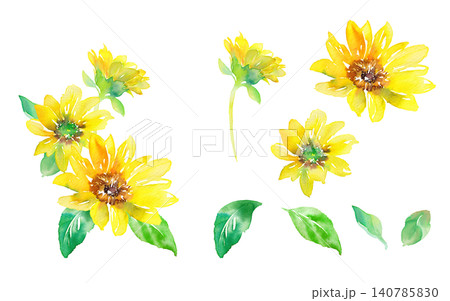 夏の花:3つのひまわりを組み合わせた水彩イラストと、構成要素のセット 夏の花:3つのひまわりを組み合わせた水彩イラストと、構成要素のセット 140785830