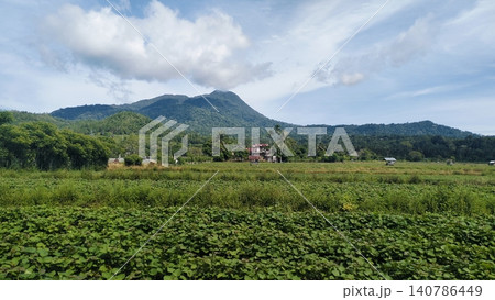 Beautiful Agricultural Field Landscape with Mountain and Blue Sky Background 140786449