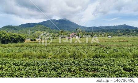 Beautiful Agricultural Field Landscape with Mountain and Blue Sky Background Beautiful Agricultural Field Landscape with Mountain and Blue Sky Background 140786456