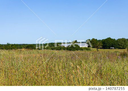 Sunny agricultural landscape with lush green grassland Sunny agricultural landscape with lush green grassland 140787255