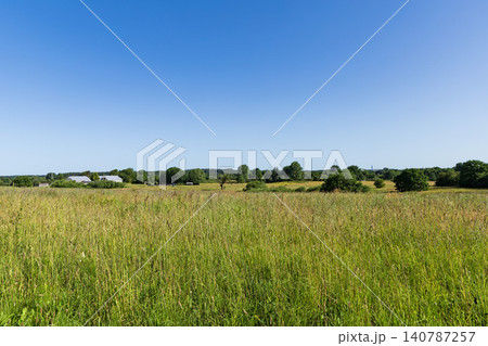 Sunny agricultural landscape with lush green grassland 140787257
