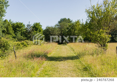 Summer countryside path leading through natural meadow Summer countryside path leading through natural meadow 140787268