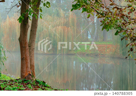 A tranquil park landscape unfolds with a calm lake reflecting weeping willow trees and the soft hues of autumn foliage on a misty day A tranquil park landscape unfolds with a calm lake reflecting weeping willow trees and the soft hues of autumn foliage on a misty day 140788305