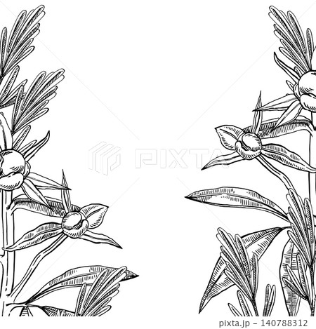 Buds and leaves of a peony, a bush of peonies. All objects are drawn manually. Vector frame for stationery, wedding invitation design, postcards. 140788312