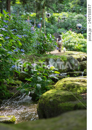 小野池あじさい公園　群馬県渋川市 140788857