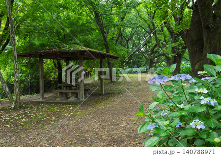 小野池あじさい公園 群馬県渋川市 小野池あじさい公園 群馬県渋川市 140788971