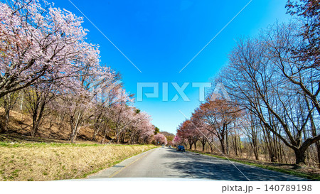 岩木山 (4月 快晴) 岩木山 (4月 快晴) 140789198
