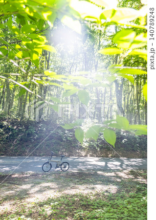 奥大山のキラキラ新緑・初夏のサイクリングイメージ(鍵掛峠付近) 奥大山のキラキラ新緑・初夏のサイクリングイメージ(鍵掛峠付近) 140789248