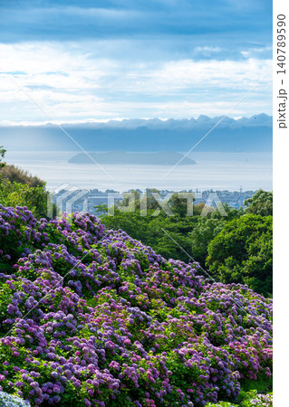 紫陽花が彩る三河湾の風景　形原あじさいの里より 140789590