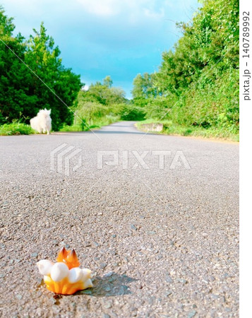 散歩道 散歩道 140789992