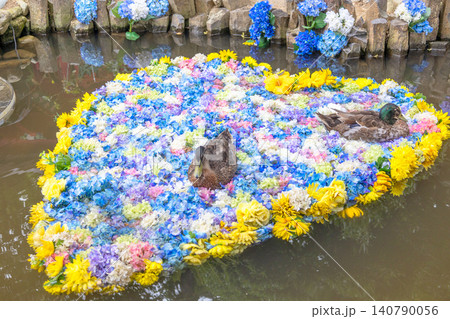 カラフルなハートの紫陽花 140790056