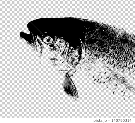 A close-up image of a salmon's head in a black and white silhouette style (black and white monochrome watercolor illustration style with transparency). A close-up image of a salmon's head in a black and white silhouette style (black and white monochrome watercolor illustration style with transparency). 140790314