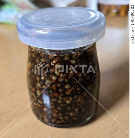 小さなガラス瓶に漬けられた手作りのノビルのむかごの醤油漬け 小さなガラス瓶に漬けられた手作りのノビルのむかごの醤油漬け 140790582