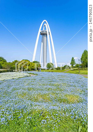 満開のネモフィラ越しに聳え建つツインアーチ138 140790823