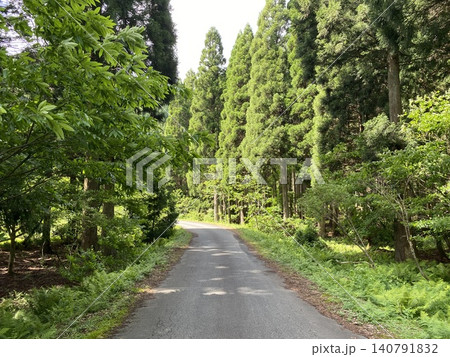 新緑の森へ続くカーブ道路と森林風景 140791832