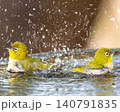 縦構図で捉えた水しぶきを上げるメジロのペア 140791835